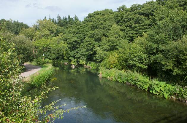 Itchen_Valley_Country_Park157.jpg