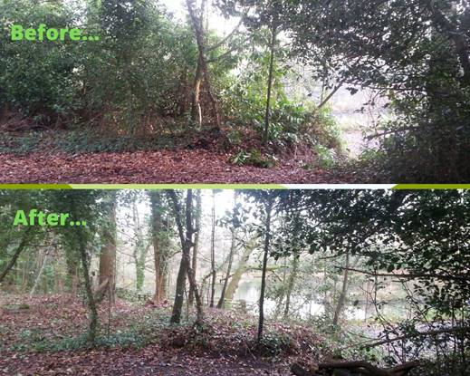 Before And After Hiltingbury Lakes